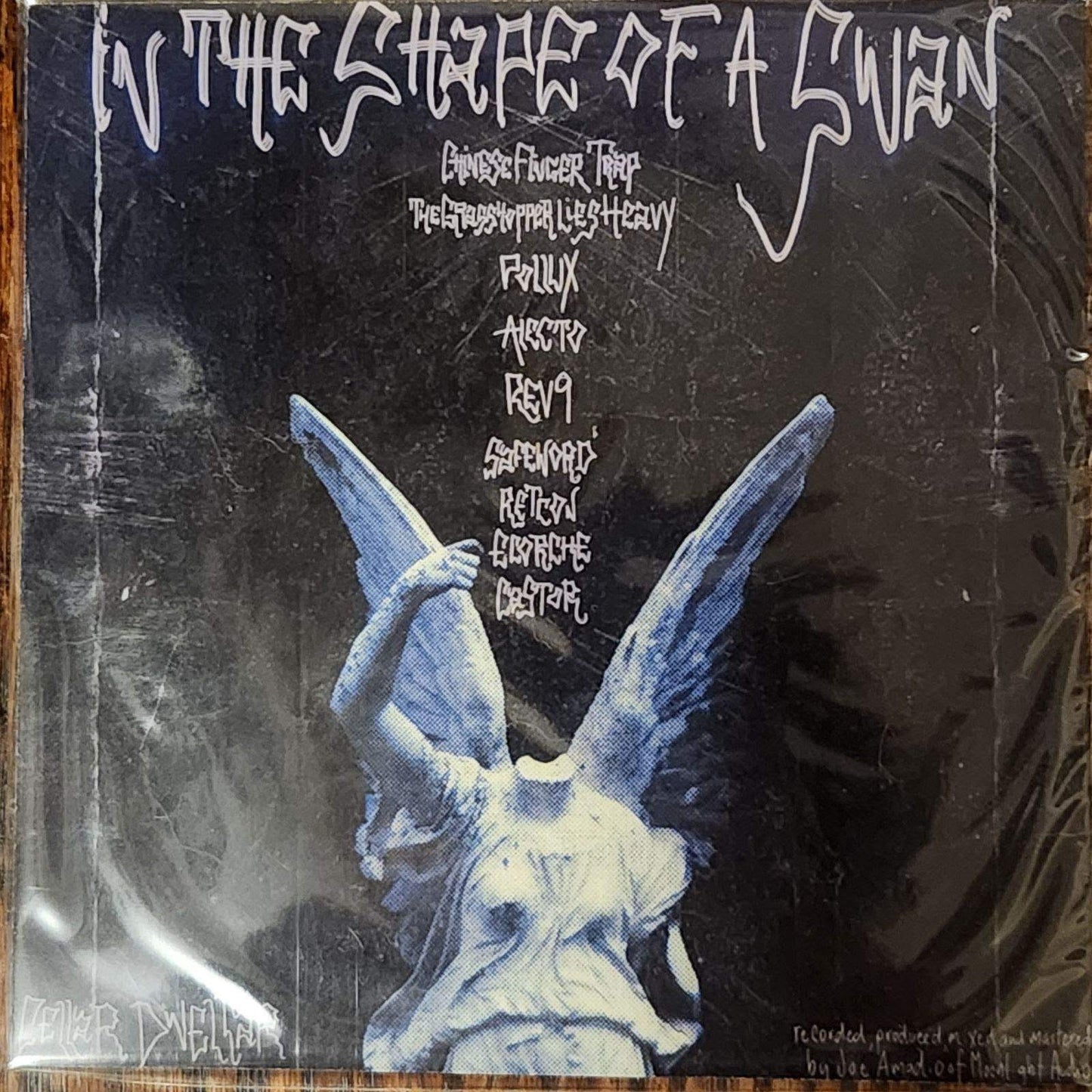 In the Shape of a Swan - CD